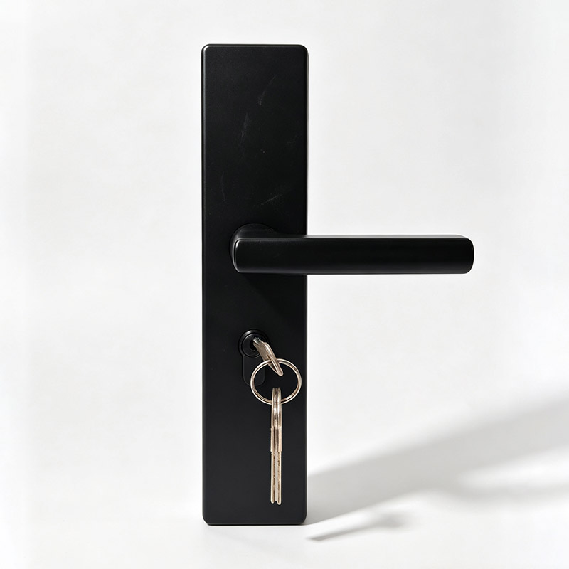 2. Integrated Lever Handle Lock Gallery View 2