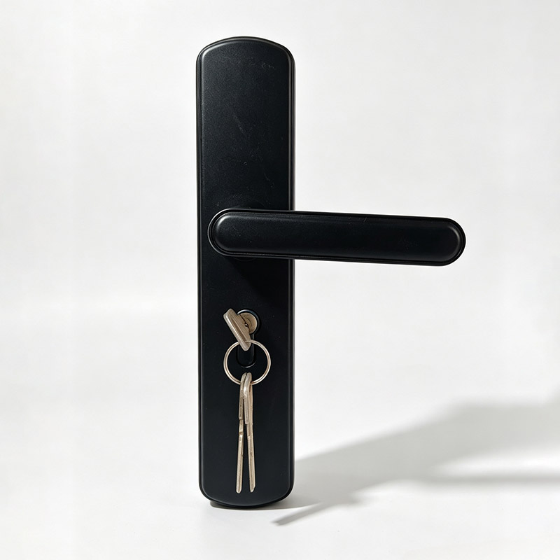 2. Integrated Lever Handle Lock Gallery View 3